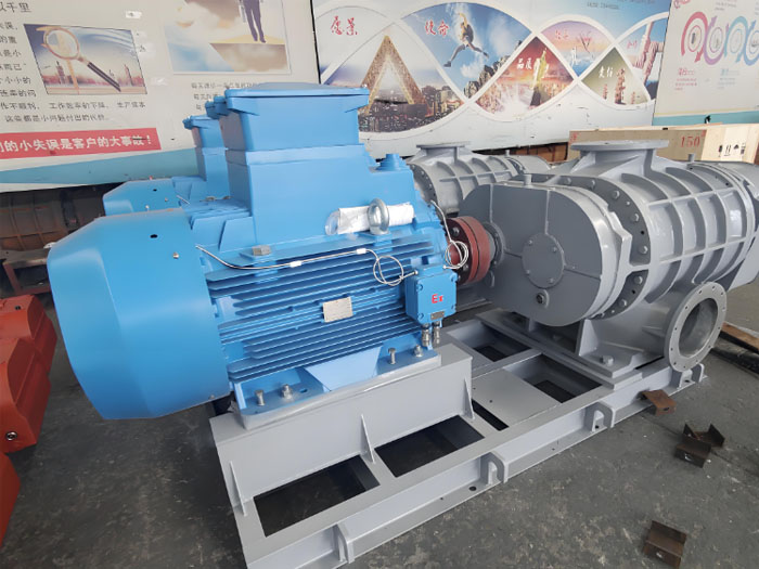 <strong>山東LCW型羅茨泵</strong>